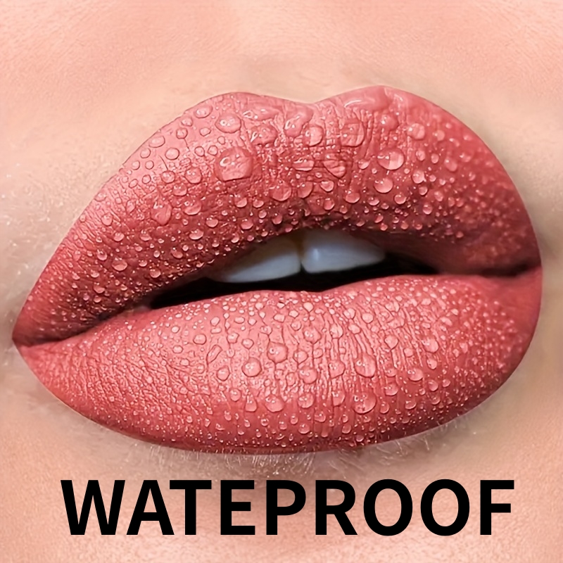 1pcs Waterproof Matte Velvet L - Matte Velvet Lip Tint Long Lasting 评论和价格